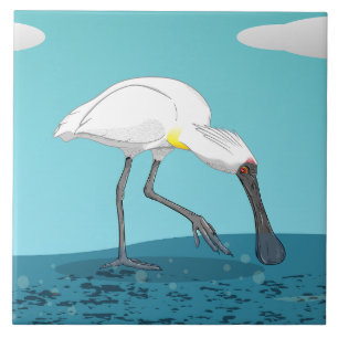 Royal Spoonbill NZ-fågel Kakelplatta