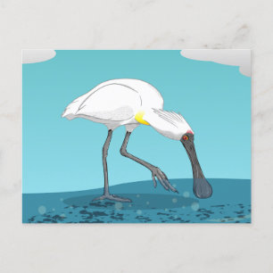 Royal Spoonbill NZ-fågel Vykort