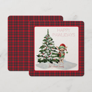 Royal Stewart Tartan Lycklig Pawlidays Hund