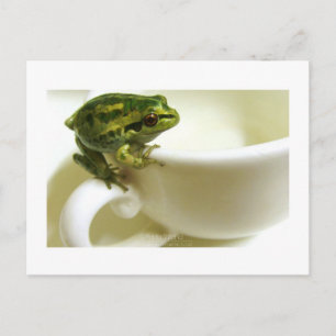 royal-teatim vykort