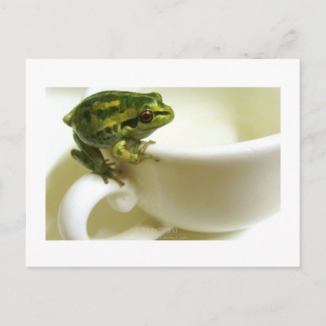 royal-teatim vykort (Framsida)