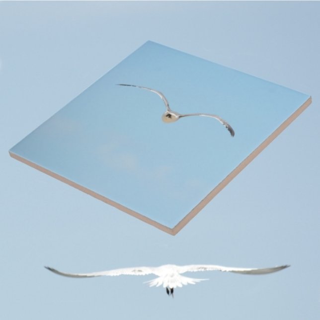 Royal Tern i Flygkusten Himlar Blue Kakelplatta (1 of 7 coordinating coastal sky blue ceramic tiles with Royal Terns in flight)