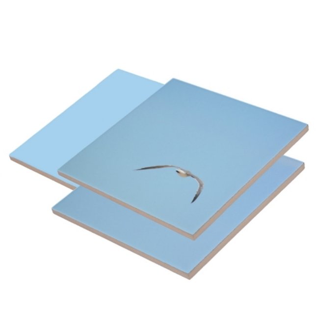 Royal Tern i Seabird kustblått Kakelplatta (1 of 7 coordinating Terns in flight sky blue ceramic tiles)