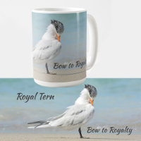 Royal Tern Seabird Bow till Royalty