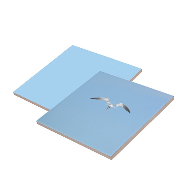 Royal Tern Seabird i Himlar Blue Kakelplatta (1 of 7 coordinating sky blue Seabird in flight ceramic tiles)