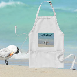 Royal Tern Seabird på Beach Tittar Bra Förkläde