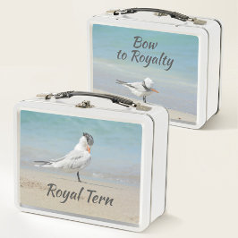Royal Tern Seabirds Bow to Royalty Beach