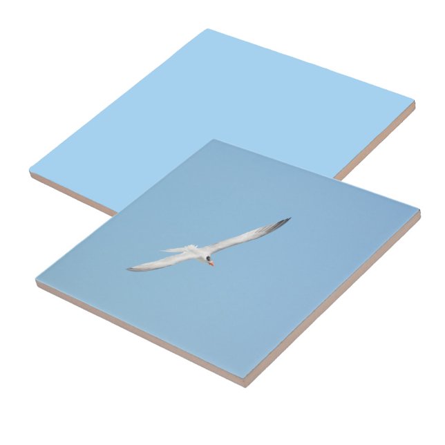 Royal Tern under flygning Kakelplatta (1 of 7 coordinating Royal Terns in Flight ceramic tiles)