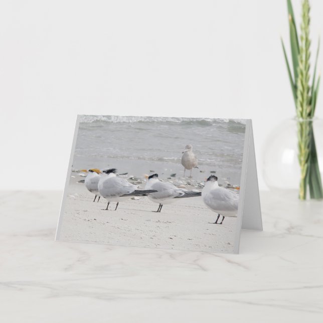 Royal Terns Note Card Helgkort (Framsida)