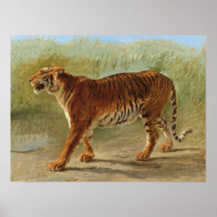 Royal Tiger Marching (av Rosa Bonheur) Poster
