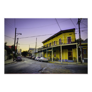 Royal & Touro Fototryck