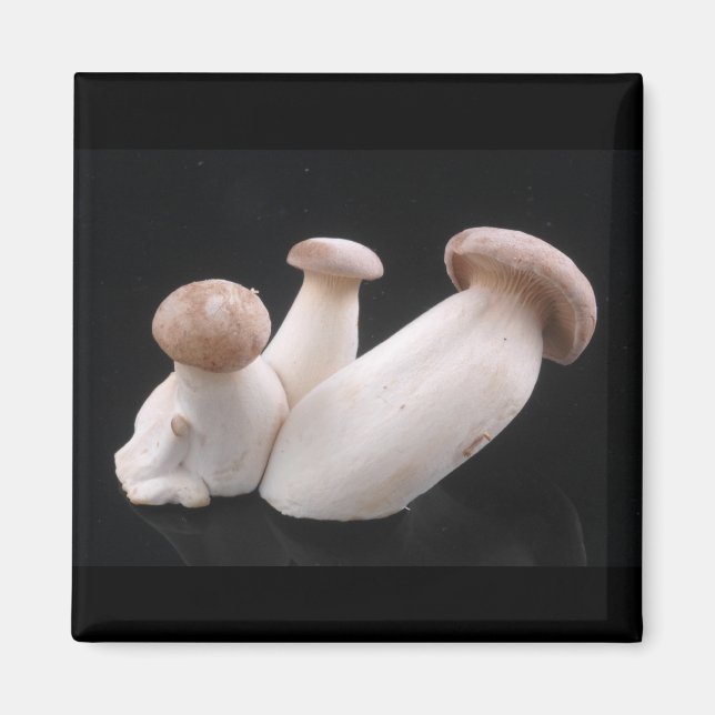 Royal Trumpet Mushroom Magnet (Framsidan)