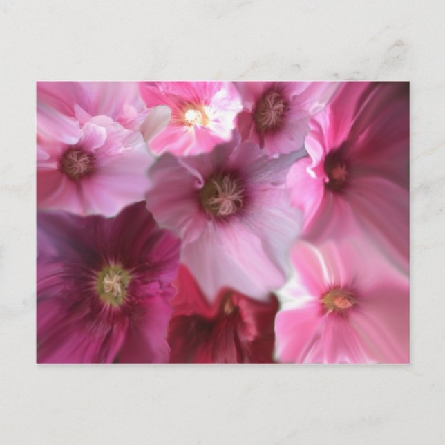 Royal Vykort (Framsida)