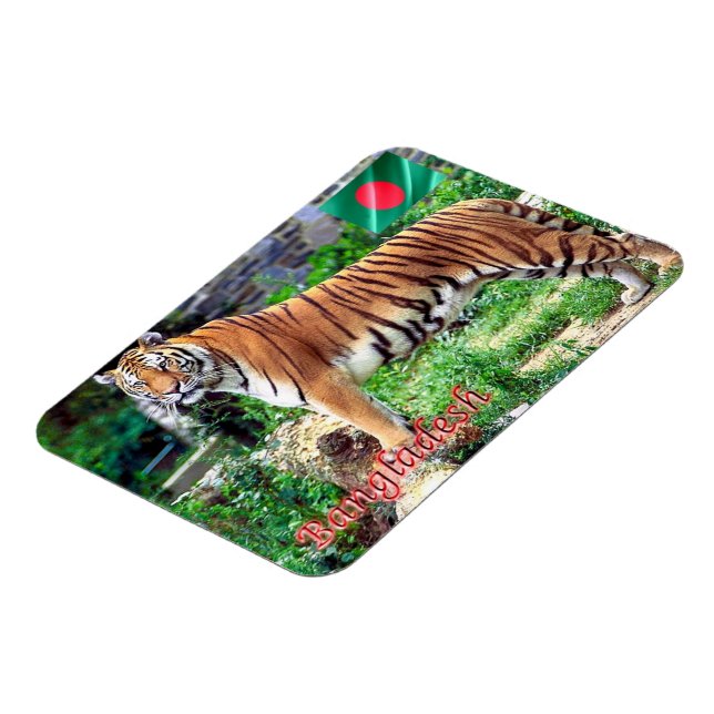 Royalet Bengal Tiger Magnet (Vänstra Sidan)
