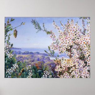 Royalet Botanic av Marianne North Poster