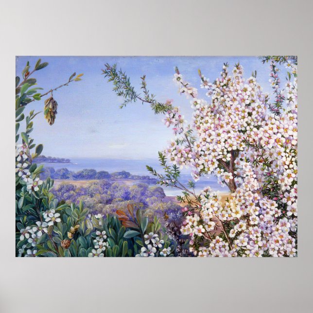 Royalet Botanic av Marianne North Poster (Framsidan)