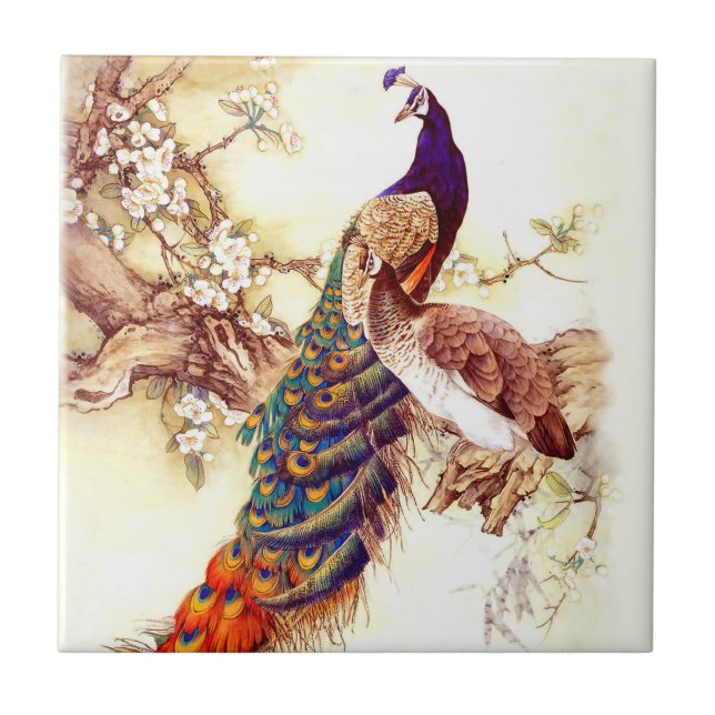 Royalet Peacock Kakelplatta (Framsidan)