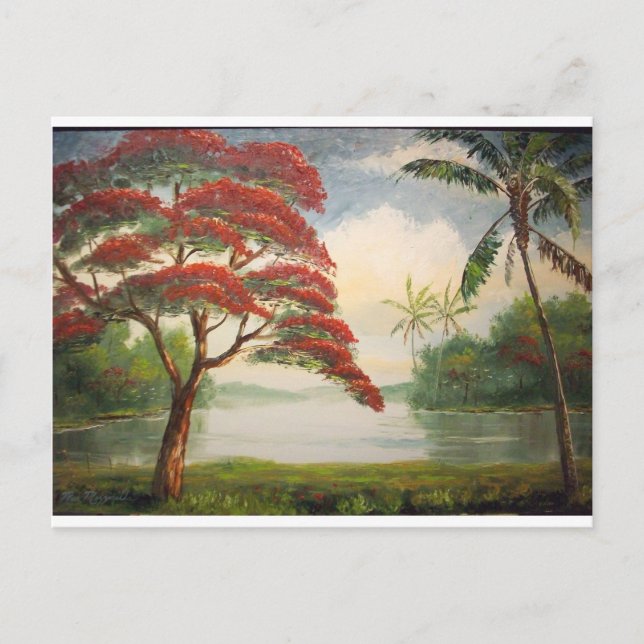 Royalet Poinciana (Flamboyant Träd) Vykort (Framsida)