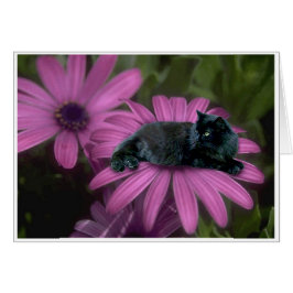 Royalty Hälsningskort