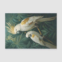 Royalty in White, Tropical Cockatoo Pair med Guld