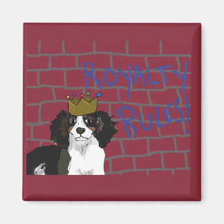 Royalty Regler - Kung Cavalier 2-tums kvadratstrec Magnet