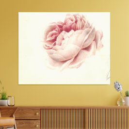 Roze Roos (1792) - Botanisk konst av tidrapport Vi Canvastryck