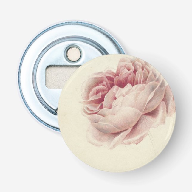 Roze Roos (1792) - Botanisk konst av tidrapport Vi Flasköppnare (Framsidan)