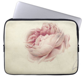 Roze Roos (1792) - Botanisk konst av tidrapport Vi Laptop Fodral