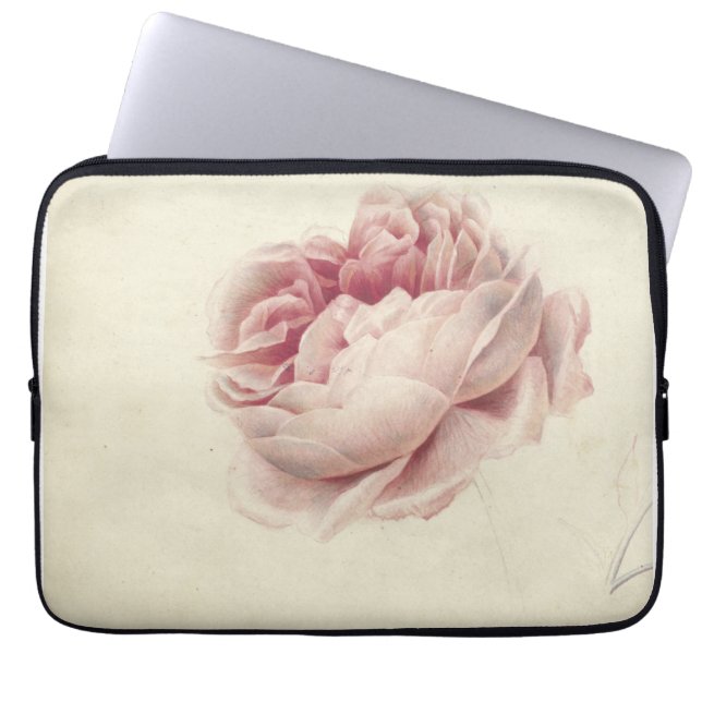 Roze Roos (1792) - Botanisk konst av tidrapport Vi Laptop Fodral (Framsidan)