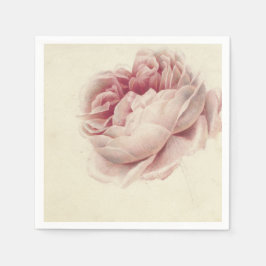 Roze Roos (1792) - Botanisk konst av tidrapport Vi Pappersservett