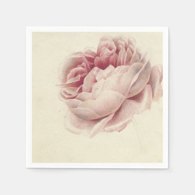 Roze Roos (1792) - Botanisk konst av tidrapport Vi Pappersservett (Framsidan)