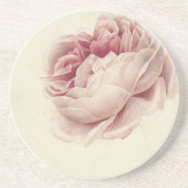 Roze Roos (1792) - Botanisk konst av tidrapport Vi Underlägg