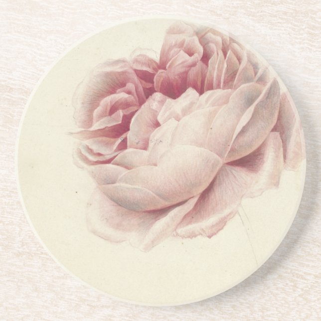 Roze Roos (1792) - Botanisk konst av tidrapport Vi Underlägg (Framsidan)