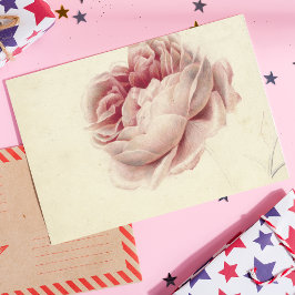 Roze Roos (1792) - Botanisk konst av tidrapport Vi Vykort