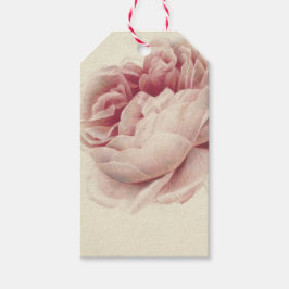 Roze Roos (1792) – Tidlös Vintage Botanisk Konst Presentetikett