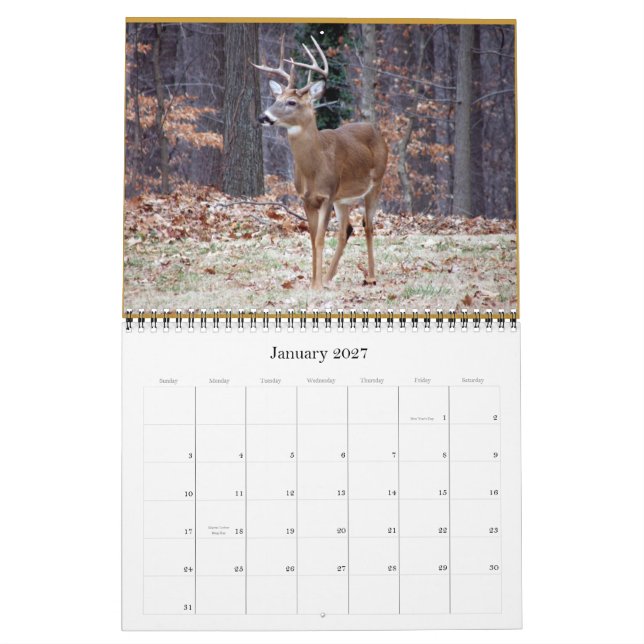 rSEANd - natur Kalender (Jan 2027)