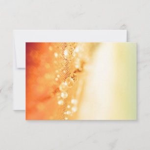 rsvp-kort bröllop svarskort minimalistiskt rsvp-ko OSA kort