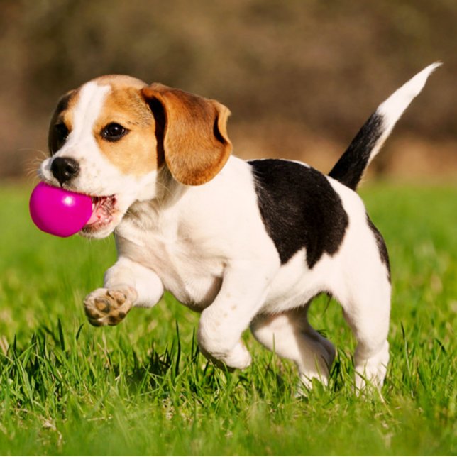 rthrdhtr inbjudningar (Skapare uppladdad)