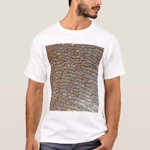 Rub al Khali, Arabien Tee