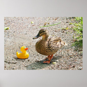 Rubber Anka och Mor Anka Poster