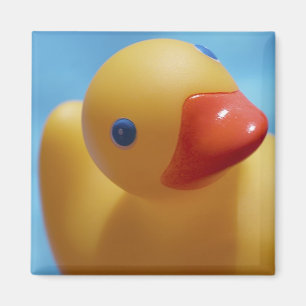 Rubber ankanärbild magnet
