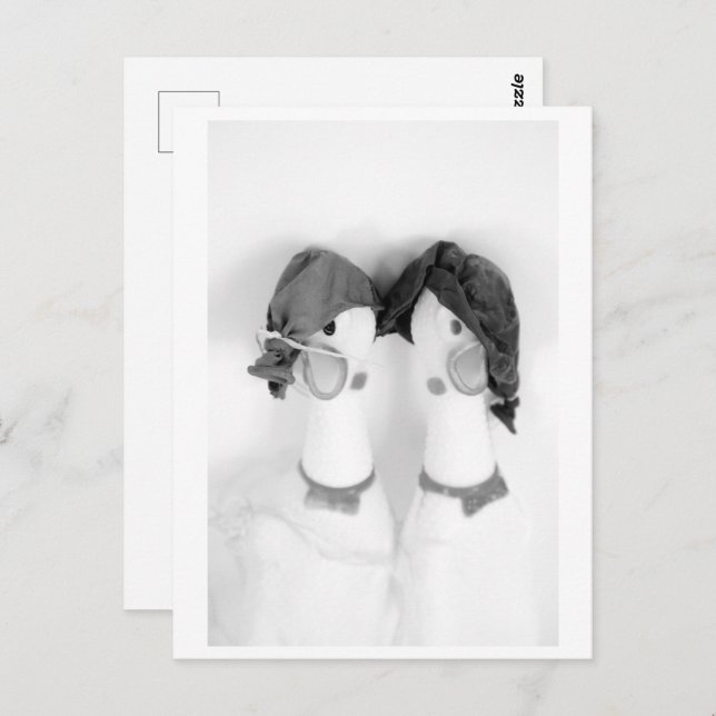 Rubber chickens - The Balloon Twins Vykort (Fram/baksida)