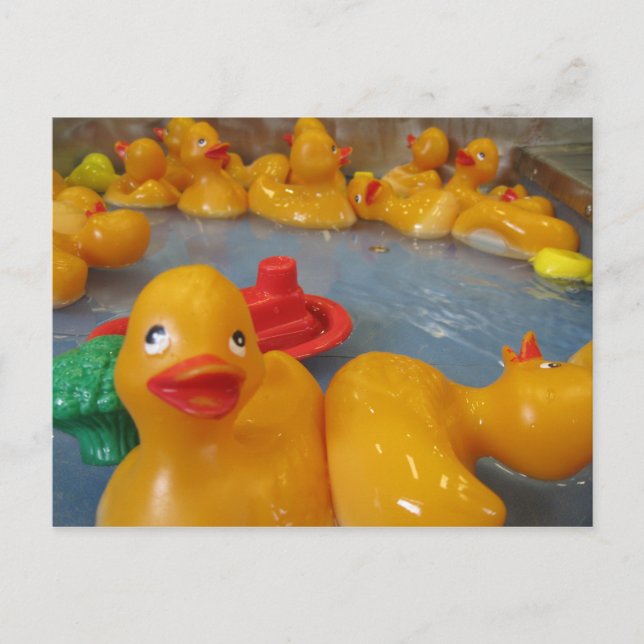 Rubber Duckies Vykort (Framsida)