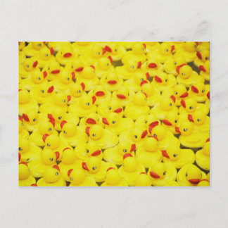 Rubber Duckies Vykort