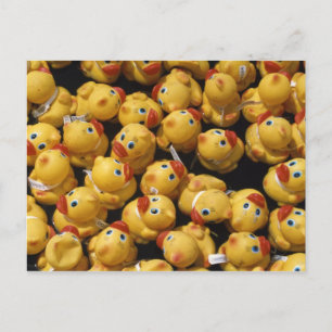 Rubber ducky tävling - vykort