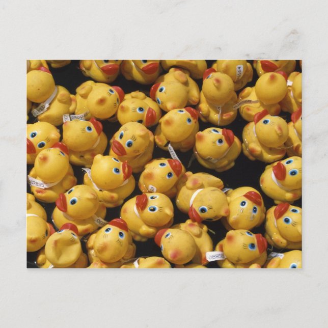 Rubber ducky tävling - vykort (Framsida)
