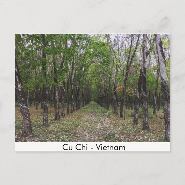 Rubber Forest - Cu Chi - Vietnam Vykort (Framsida)