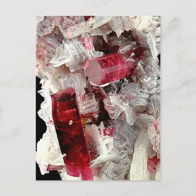 Rubellite Vykort (Framsida)