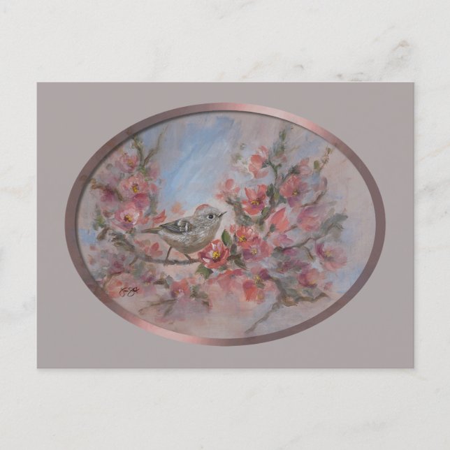 Rubinkronad kungsfågel vykort (Framsida)