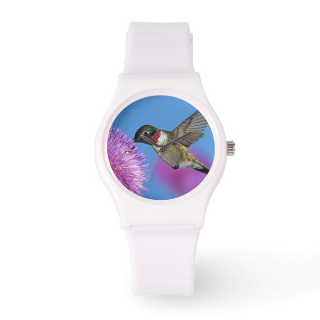 Rubinstrupekolibri Armbandsur (Framsida)